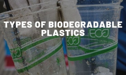 Các loại nhựa phân hủy sinh học