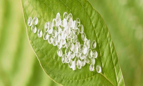 So sánh PLA và ABS