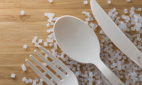 Nhựa sinh học có phân hủy sinh học và tốt cho môi trường không?