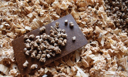 Ưu và nhược điểm của nhựa sinh học từ cây gai dầu