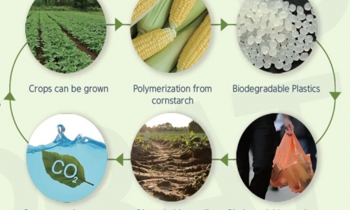Nhựa sinh học phân hủy là gì?